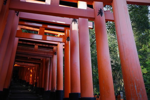 伏見稲荷大社の千本鳥居を建ち並ぶ参道でくぐる