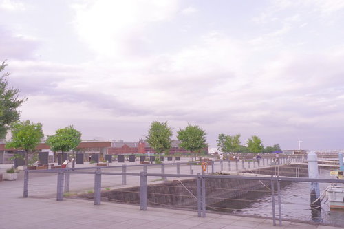 横浜みなとみらいの象の鼻テラス周辺の木製桟橋と港湾風景