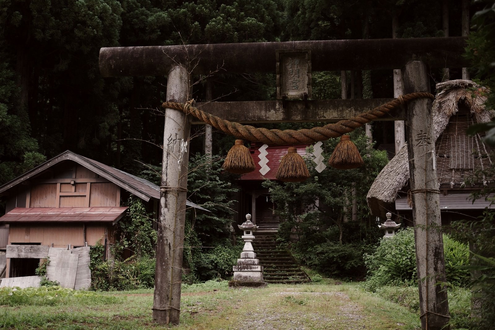 菅沼集落の神明宮の木造鳥居と背景の合掌造り建物