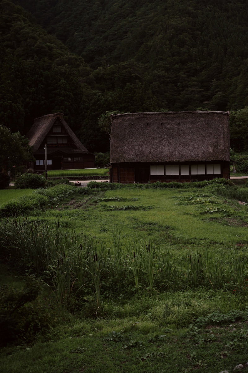 薄暮の空の下、緑の山麓に佇む茅葺屋根の合掌造り家屋群