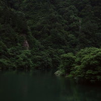 木々生い茂る川岸の自然風景（富山県南砺市）の写真