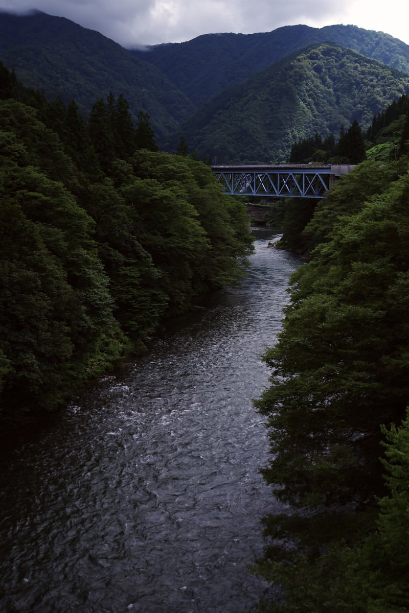 深い渓谷を流れる庄川と山間に架かる橋、緑豊かな森林に囲まれた風景