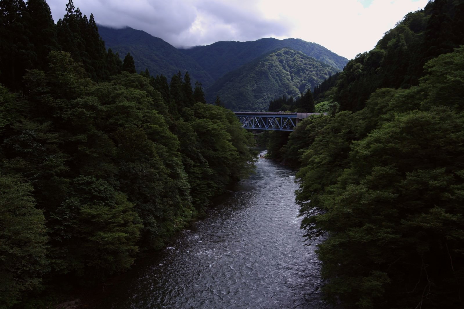 深緑の森に囲まれた庄川峡に架かる橋と流れる川