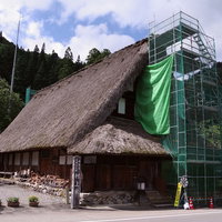 南砺市の村上家で進む合掌造り茅葺屋根の葺き替え工事の写真