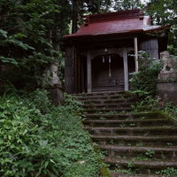 緑に囲まれた石段の上に佇む本殿（富山県南砺市相倉集落）の写真