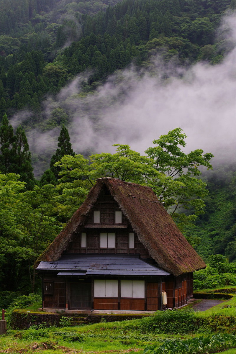 霧に包まれた山々を背景に、緑豊かな山間に佇む茅葺屋根の合掌造り民家