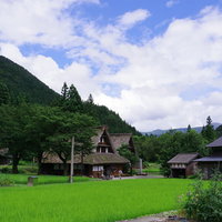 民家の屋根にかかる梯子と菅沼集落の田園風景（富山県南砺市）の写真