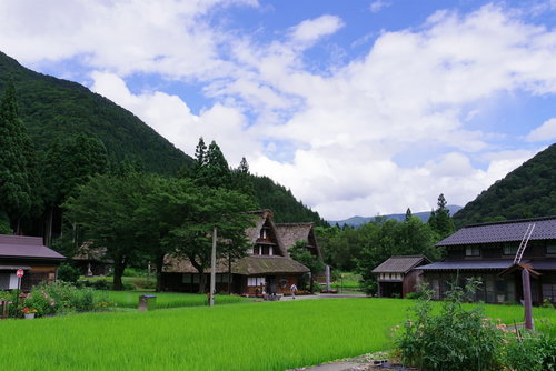 民家の屋根にかかる梯子と菅沼集落の田園風景（富山県南砺市）