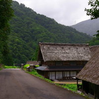 道路越しに見える南砺市五箇山菅沼集落の合掌造り建築群の写真