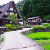 緑の山々に囲まれた相倉合掌造り集落の水田風景の写真
