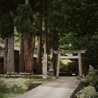 相倉集落の神社へ伸びる石段参道と鳥居（富山県南砺市）の写真