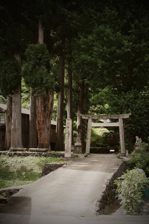 相倉集落の神社へ伸びる石段参道と鳥居（富山県南砺市）
