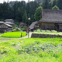 田に降り注ぐ光と相倉集落の合掌造り（富山県南砺市）の写真