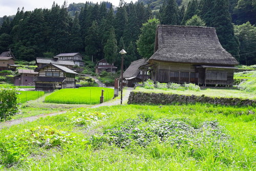 田に降り注ぐ光と相倉集落の合掌造り（富山県南砺市）