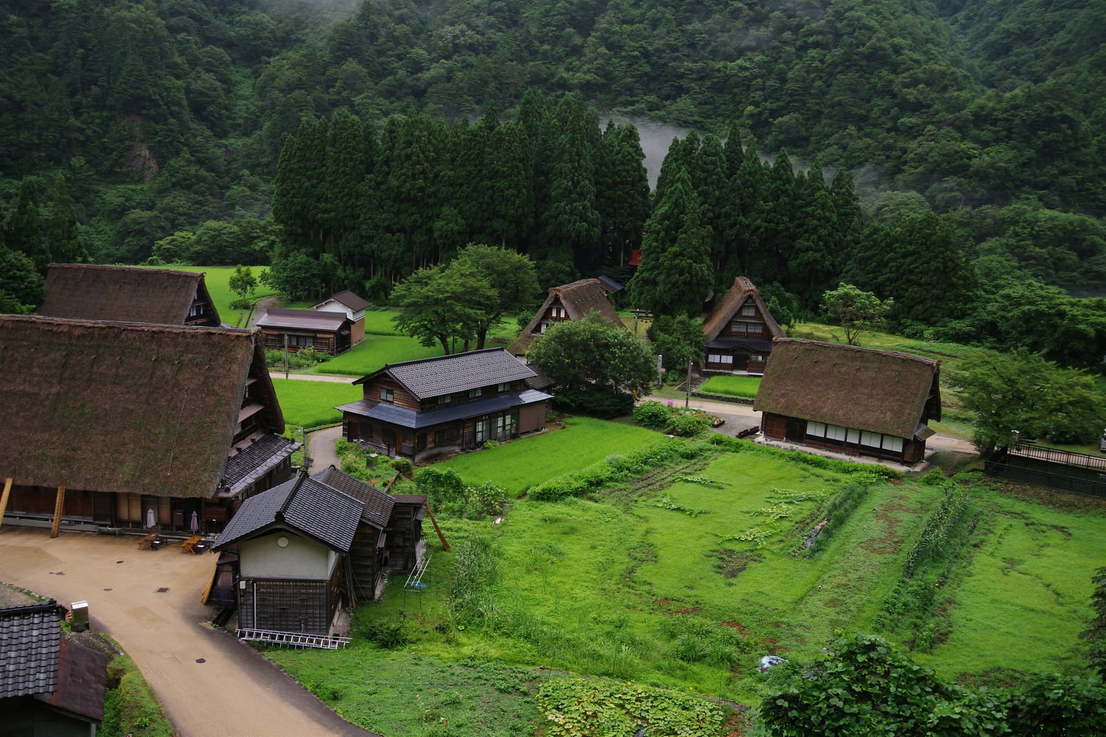 緑豊かな山間部に位置する合掌造り集落の空撮写真