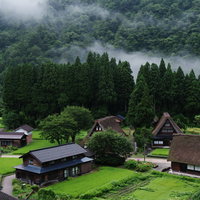 俯瞰して見る早朝の菅沼集落、茅葺屋根と田畑が広がる富山県南砺市の写真