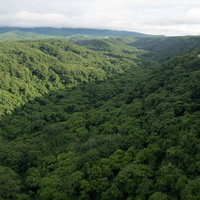 山々に連なる広大な森林と青空の風景の写真
