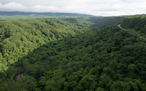山々に連なる広大な森林と青空の風景