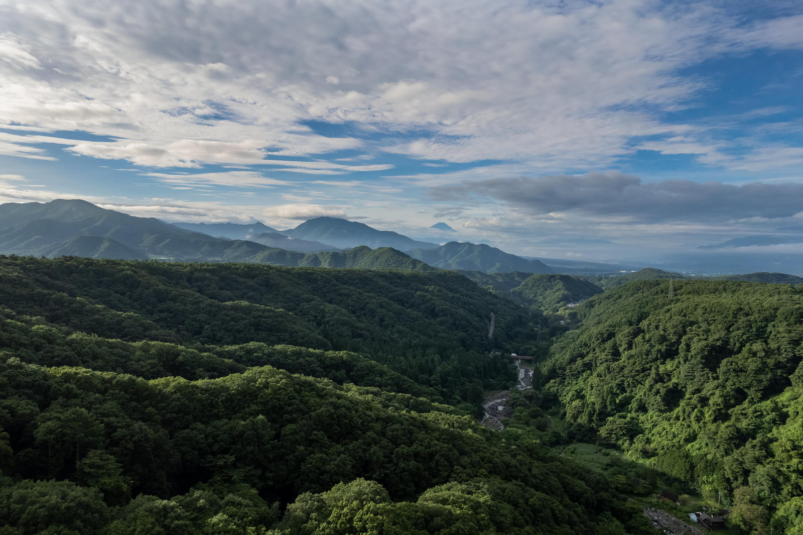 深緑の森林に覆われた山々と山間を流れる川の自然風景