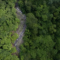 俯瞰した森林の谷を流れる川 - 山間部の航空の写真