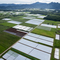 山々を背景に広がる緑の田園風景を空撮で俯瞰の写真