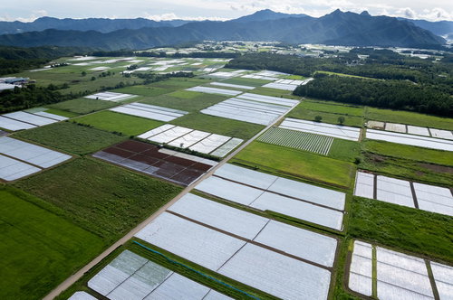 山々を背景に広がる緑の田園風景を空撮で俯瞰