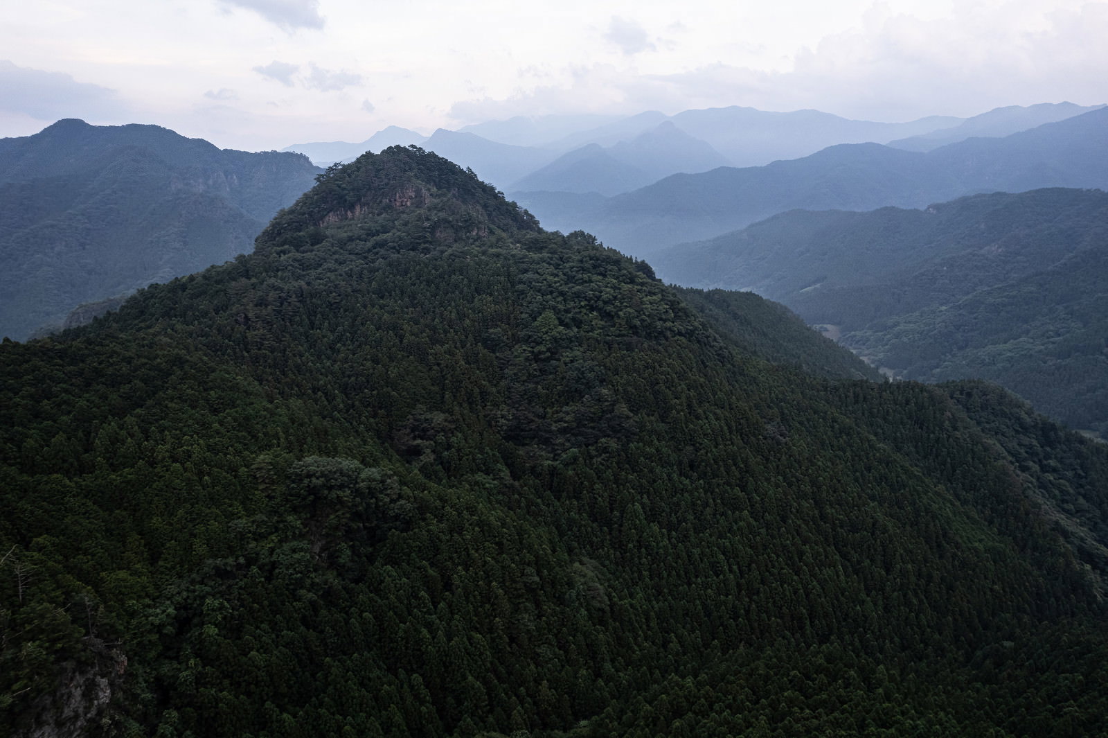 深い緑の森に覆われた山々が重なり合う風景