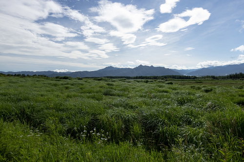 遠景の山々が見える広大な緑の草原と青空の風景