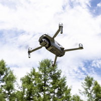 DJI Air 2Sを飛ばした様子、木々の上空でホバリングの写真
