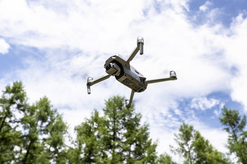 DJI Air 2Sを飛ばした様子、木々の上空でホバリング