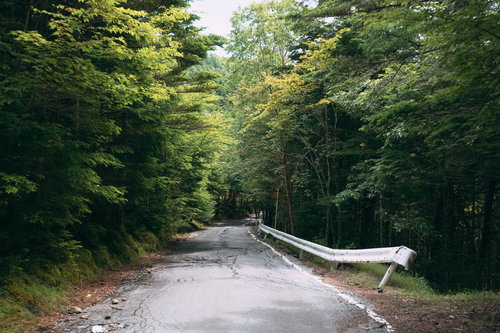 森林の中の傾いた白いガードレールと道路の風景