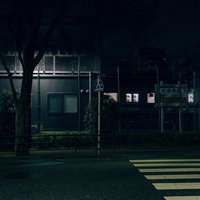 夜の新大久保駅周辺つつじ通りを通過する山手線と横断歩道の写真