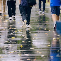 イチョウの落ち葉が散る雨の道を歩く人たちの足元の写真