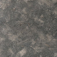 砂地に散らばる細い木の枝の写真