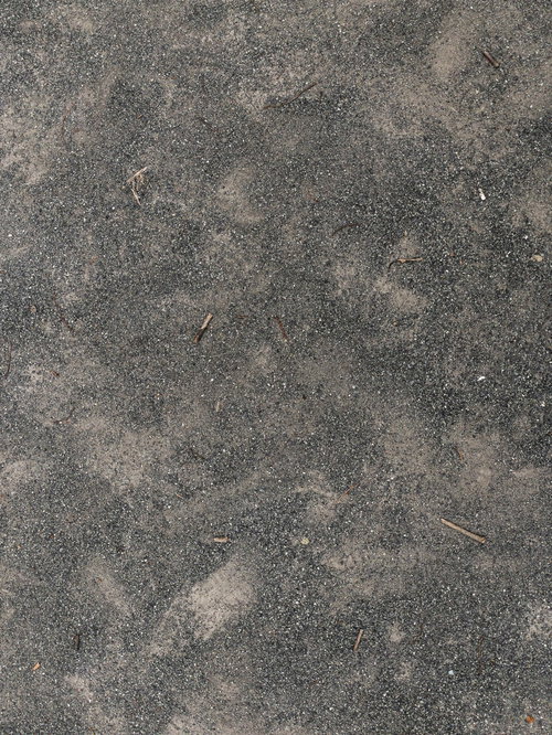 砂地に散らばる細い木の枝