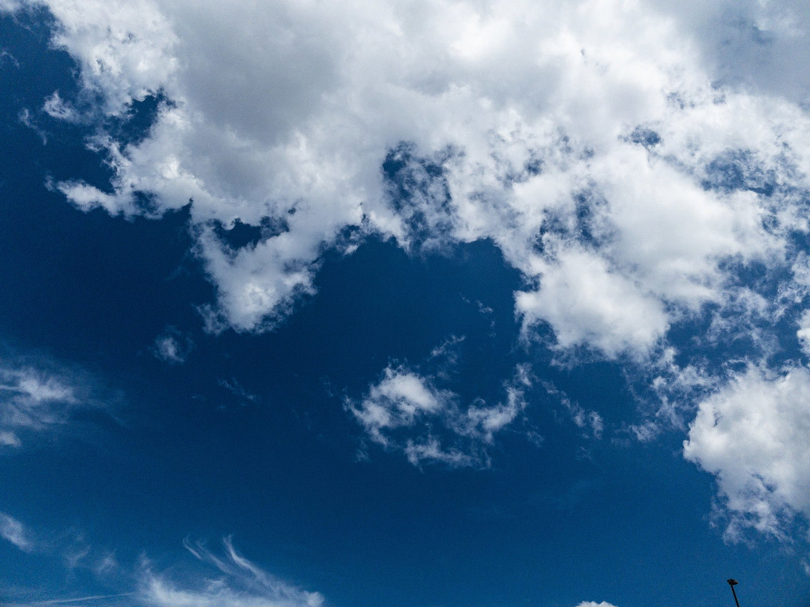 夏の青空に広がる積雲