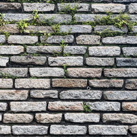 目地から草や苔が生える石材タイル壁の風化した風景の写真