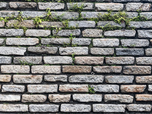 目地から草や苔が生える石材タイル壁の風化した風景