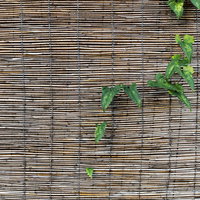 古びた竹製の簾に緑の蔦の葉が絡みつく様子の写真