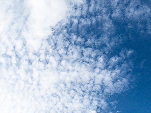 ひつじ雲っぽい空