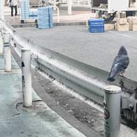 ガードレールの上に止まる鳩と道路風景の写真