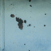 部分的にサビが浮いた壁のテクスチャの写真