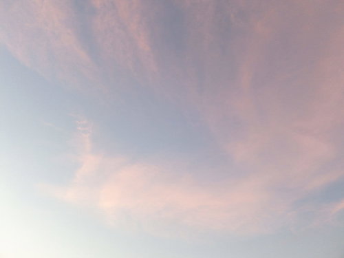 焼けたオレンジ色の空と流れる薄雲の夕暮れ風景