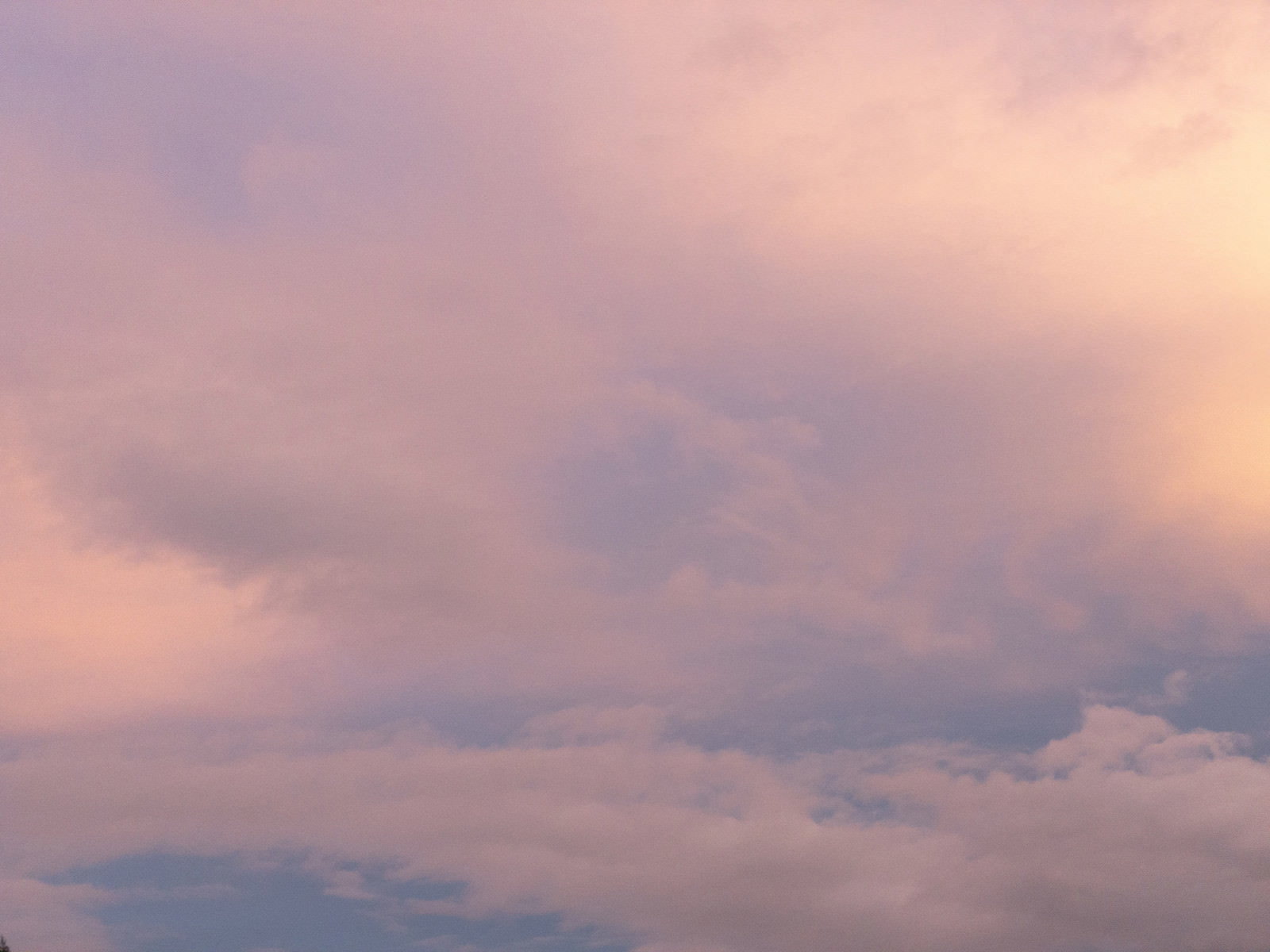 夕焼けでオレンジやピンクに染まった雲が空に広がる