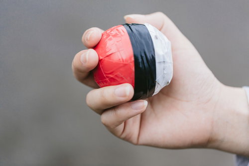 ポケットボールゲット！