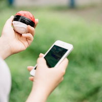 直感を信じて紅白ボールで相棒を探すの写真