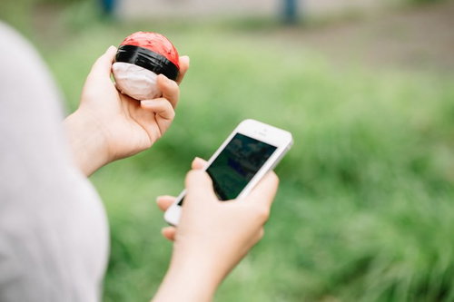 直感を信じて紅白ボールで相棒を探す