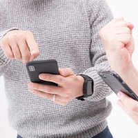 レイドに勝利し紅白ボールを捕獲してガッツポーズの写真