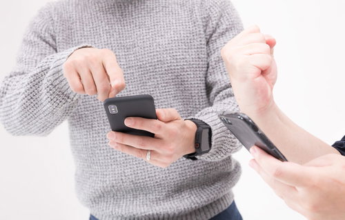 レイドに勝利し紅白ボールを捕獲してガッツポーズ