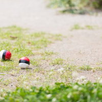 まだユーザーも少ない公園に落ちた紅白ボールの写真